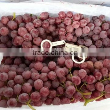 2015 new crop chinese red globe grapes with best price