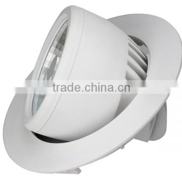 Crescent brand quality high brightness COB LED anti-slip gimbal down light 30W with pure white matte surface
