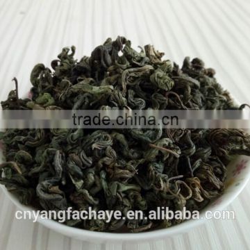 Hot sell good taste chinese sweet green tea