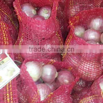 Large size Onion for Singapore markets