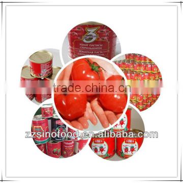 Cheap Canned Food Canned Tomato Paste from China
