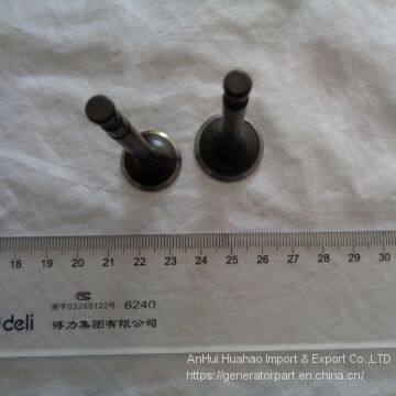 High Quality 152F Generator Intake Exhaust Valve Spare Parts