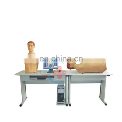 HC-S605 Practicably Student version laboratory system Intellective cardiopulmonary and abdominal examination teaching manikin