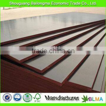 1220*2440 film faced plywood / birch core plywood