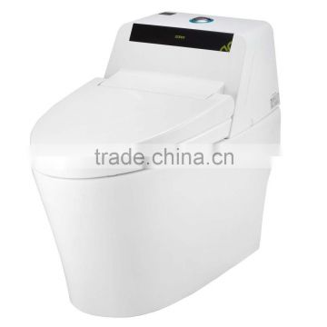 Automatic Intelligent Toilet with Concealed Tank