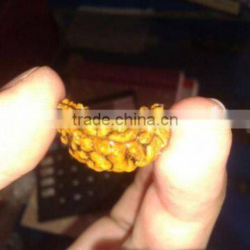 ORIGINAL EK MUKHI RUDRAKSHA