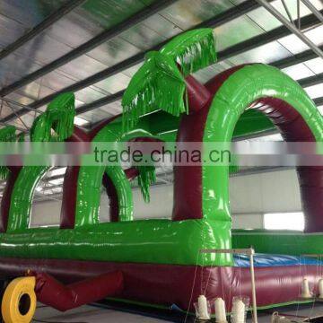 Funny coconut inflatable bouncer house, inflatable jumper, inflatable bouncer for rental