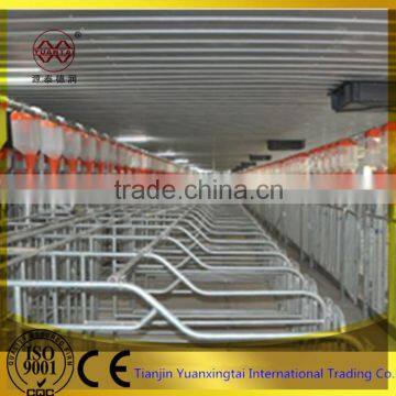 pipe for Sow cage/sow farrowing pens fatten cage for sale
