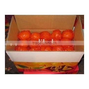 Chinese mandarin orange