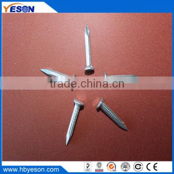 1 -6 inch 25kg packing reinforcing galvanized steel nails