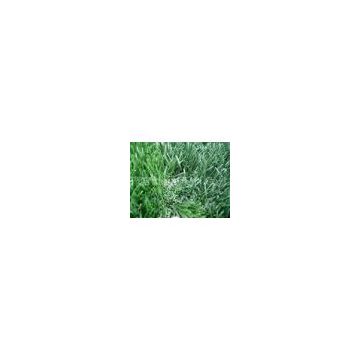 Artificial turf lawns