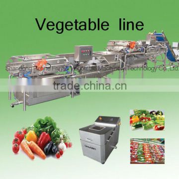 Fresh vegetable processing line/automatic vegetable washing line