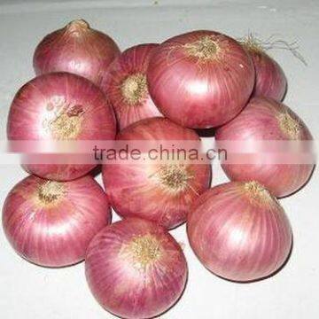 Onions