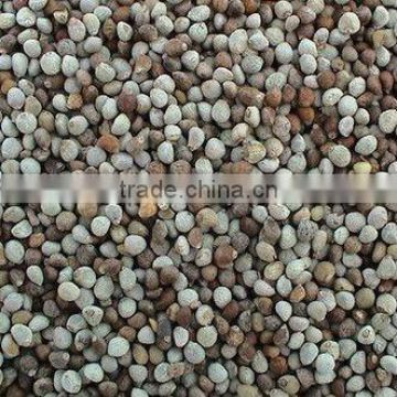 organic white perilla seeds