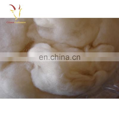 High Quality Pure Mongolian Cashmere Sheep Wool Fiber