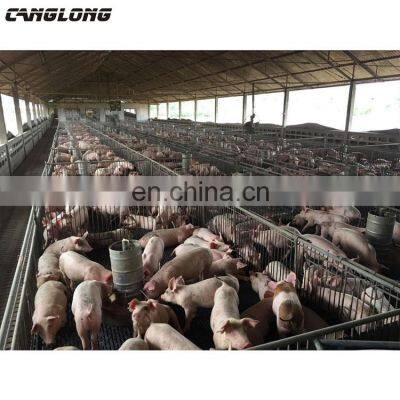 Construction farm design steel structure pig shed