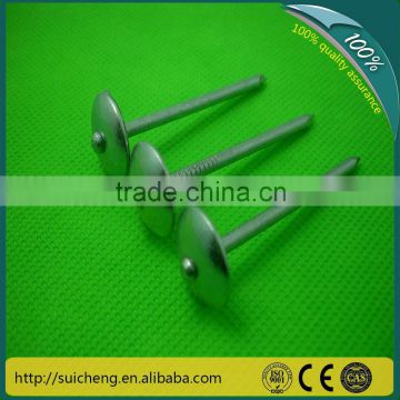 Guangzhou Roofing Nails/ Galvanized Roofing Nails/ Zinc Coated Roofing Nails