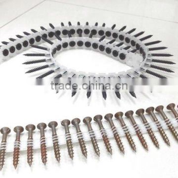 Collected Screws - Plastic strip collected drywall screw