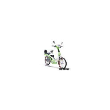 Electric Bicycle