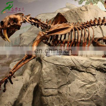Smilodon animal fossil replica