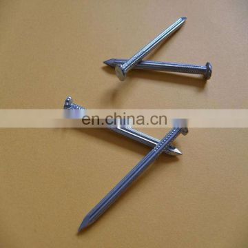 Standard nails supplies zinc galvanized iron concrete nails 1 inch 2 inch in China