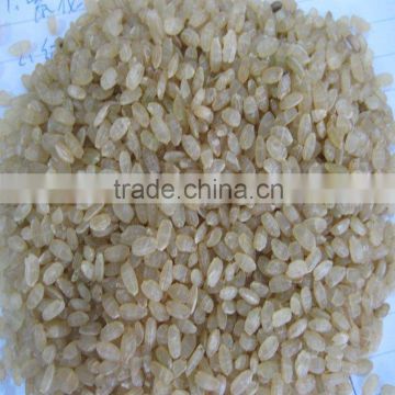 Steamed Brown Rice(Organic or Common)