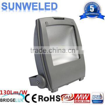 SAA LED Penguin Type 30w led flood light 10w 30w 50w 70w 80w 100w