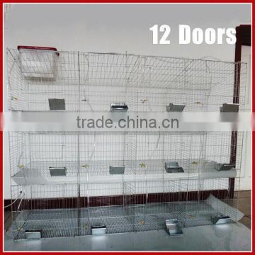 rabbit breeding cages kenya sale