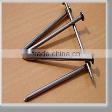 high quality common wire nail (factory price)