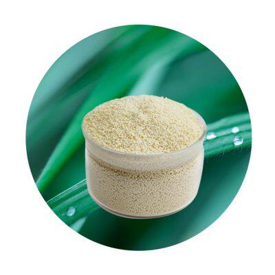 Anion Exchange Resin Decolorization of Sugar Solution Resin