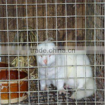 steel wire cage for mink ,farming mink cage for sale