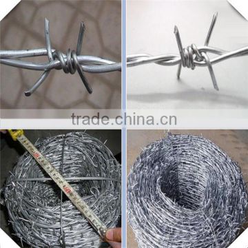 hot sale 2mm diameter galvanized barbed wire / galvanized barbed wire price / barbed wire factory