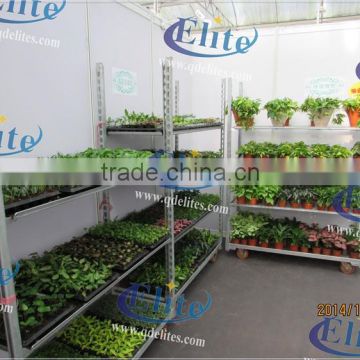 153 Seedling the flower and pot plant trolley Seedling pool rack Seedling pot plant trolley