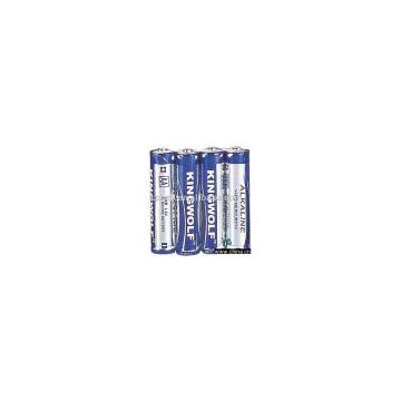 sell AA alkaline battery/dry battery