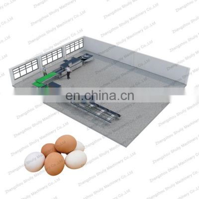 automatic duck hen eggs cleaning oiling grading line equipment egg washing machine