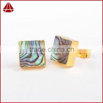 High quality latest fancy gold square abalone paua shell stud earrings                        
                                                                                Supplier's Choice