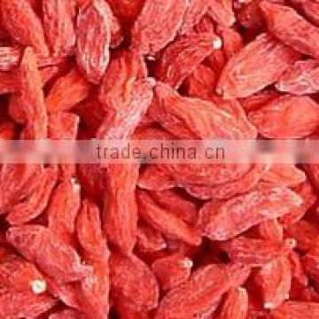 China natural foods goji berry