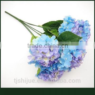 Wholesale wedding flowers blue hydrangeas palnts