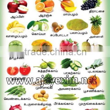 Fruits & Vegetables in Tamil Poster