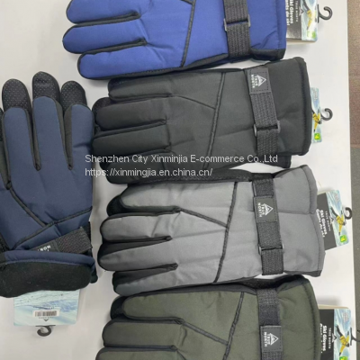 Stock Ski Gloves
