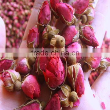 Dried pink rose buds for medicine raw or tea