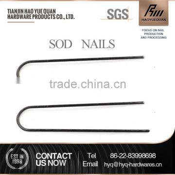 Hot Sale!!! Turf nail/Sod staple/Grass staple