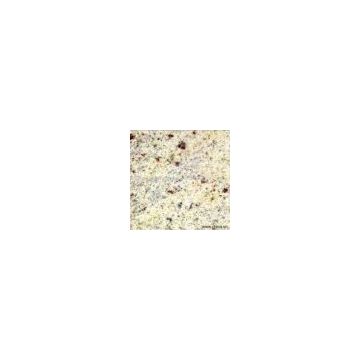 Sell Kashmire White Granite
