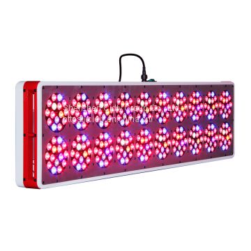The most experienced growers like this model CIDLY LED 900W 3W High power hans panel led grow light