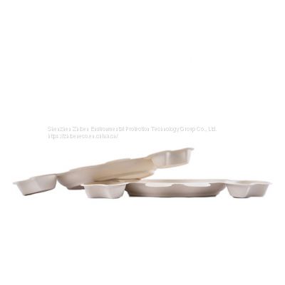 Eco Friendly Disposable & Biodegradable Molded Pulp Containers