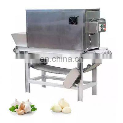 Hot Sale industrial automatic Full Set Garlic Production Line Includes Garlic Cleaning Breaking Peeling Sorting processing