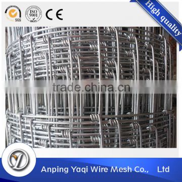 professional coated welded hot dipped galvanized field fence