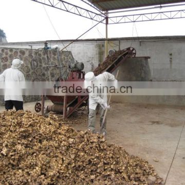 dried ginger from yunnan province china