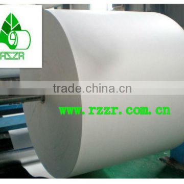 white pe coated paper for cups