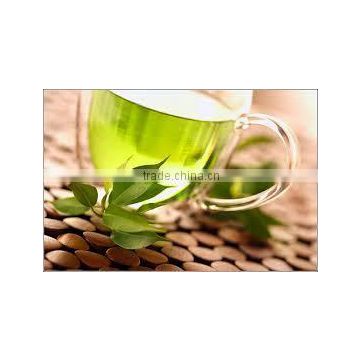 Rich Green Tea For Sales